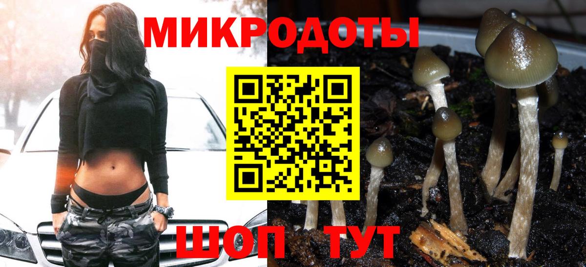 Можга  Псилоцибиновые грибы ЛСД  Вход с VPN  Галлюциногенные грибы ЛСД 